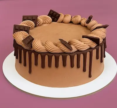 Sweet earth chocolate cake (vegan)